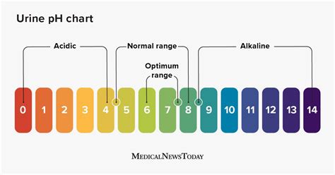 Urine pH: Normal ranges and what they mean .